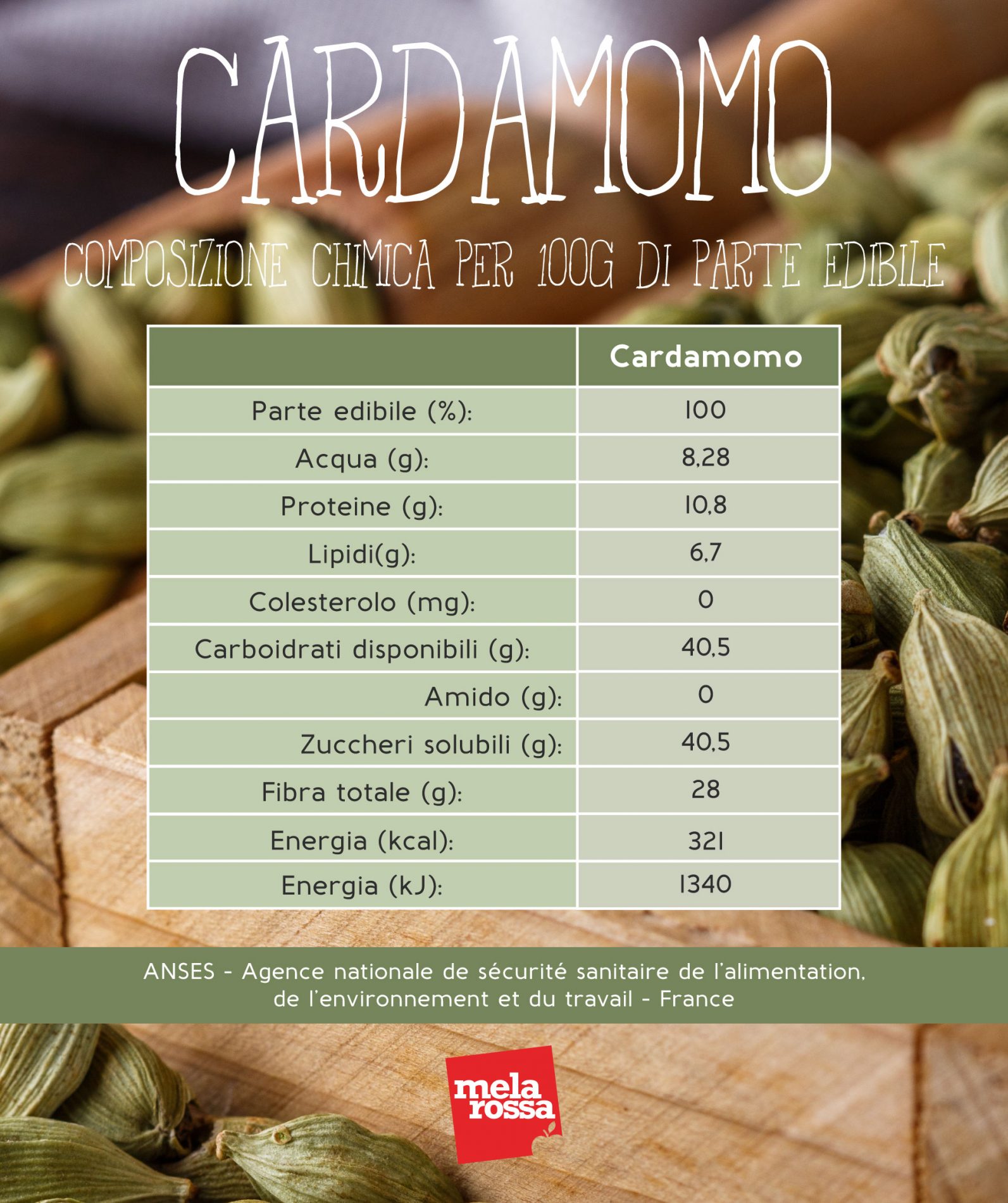 cardamomo: composizione chimica