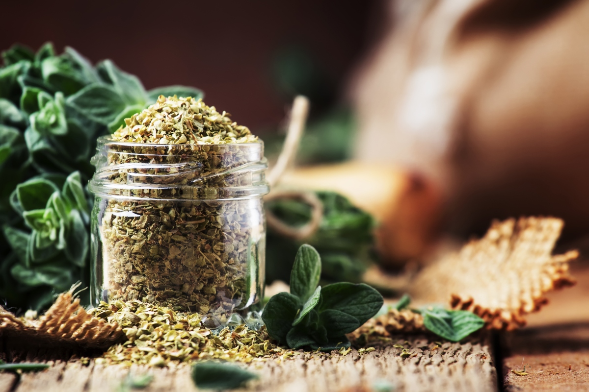 origano: come essiccarlo in casa