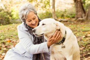 Cani migliori amici di chi soffre di diabete: fiutano l’ipoglicemia e danno l’allarme