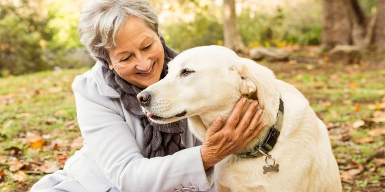 Cani migliori amici di chi soffre di diabete: fiutano l'ipoglicemia e danno l'allarme