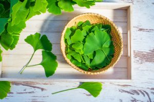 Ginkgo biloba: che cos’è, benefici, valori nutrizionali e usi in cucina