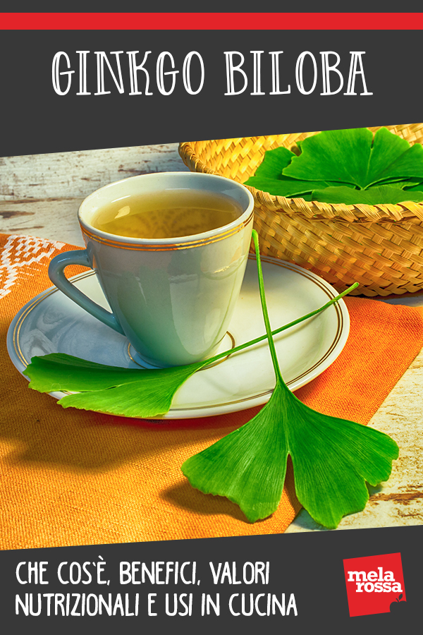 Ginkgo biloba: benefici e usi in cucina