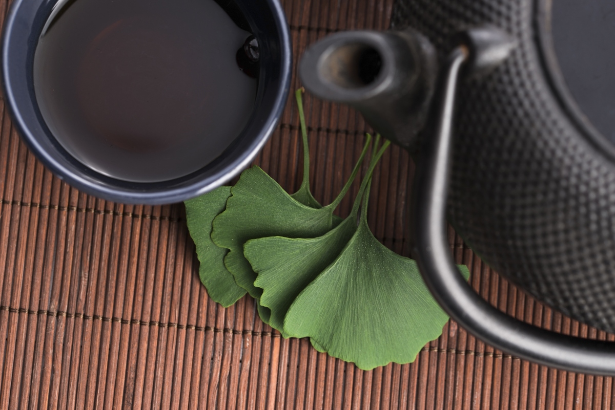 ginkgo biloba: proprietà medicinali