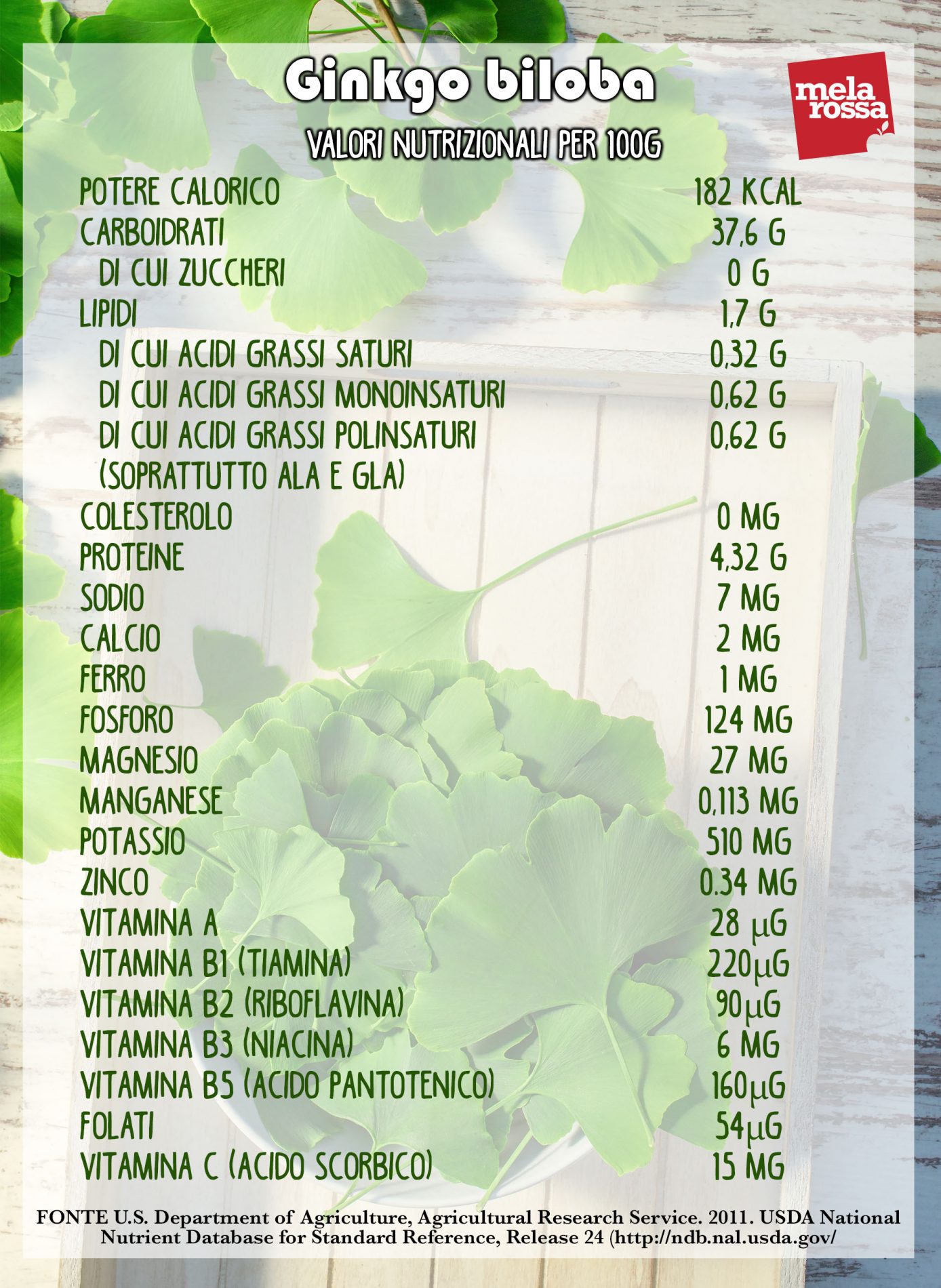 ginkgo biloba: valori nutrizionali