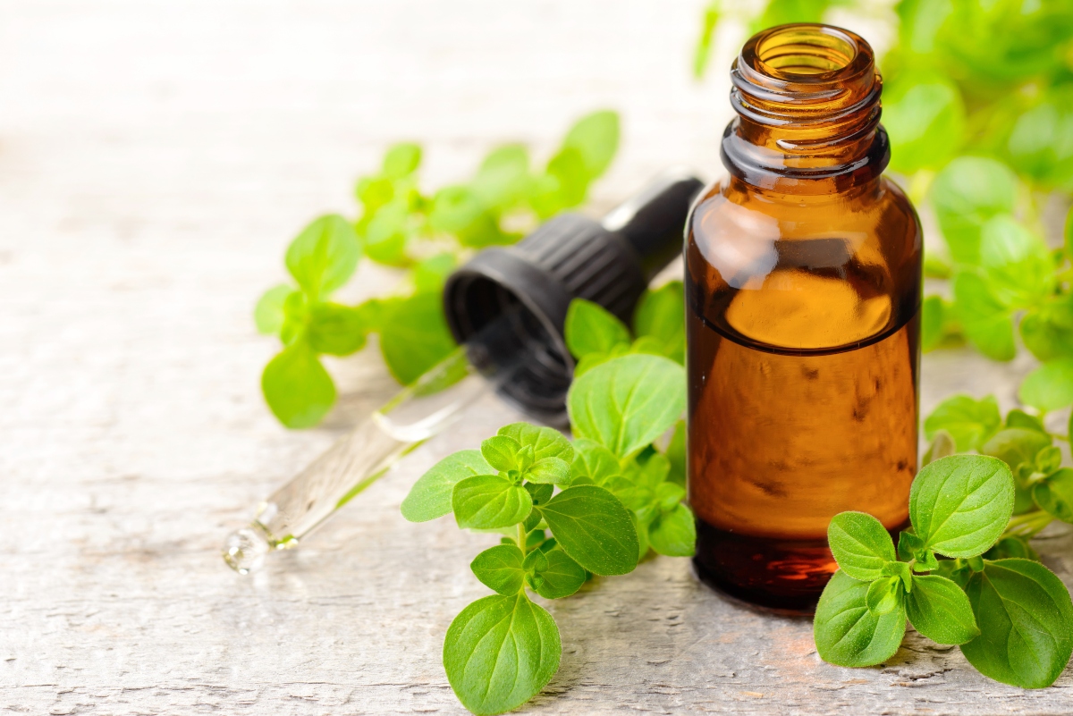 olio essenziale di origano 