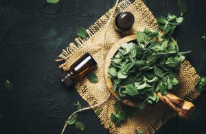 Origano: pianta, proprietà, usi in cucina