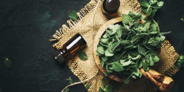 su fondo scuro, tovaglietta con ciotola con foglie di origano fresco e flaconcini sparsi