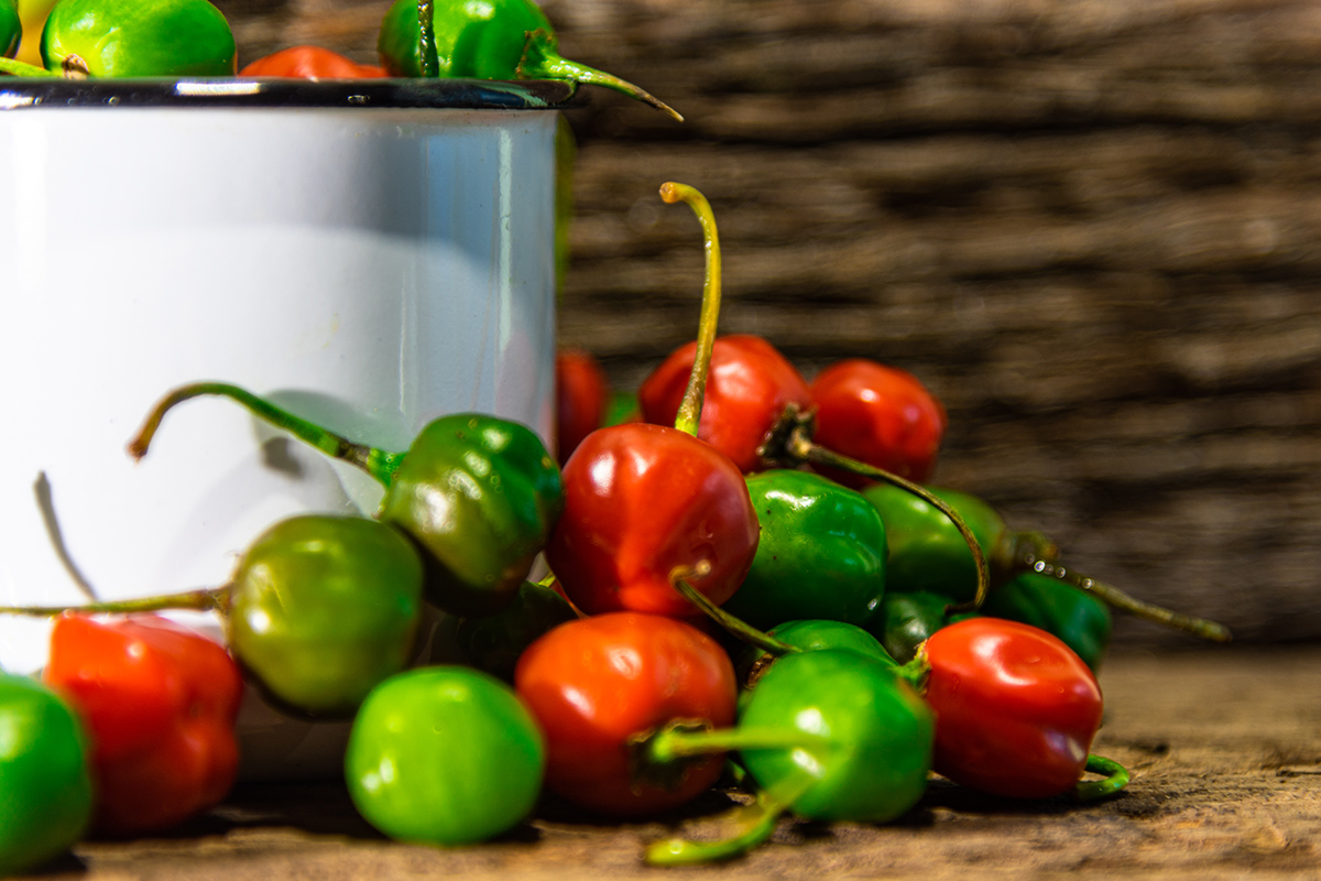 Peperoncino: specie Capsicum Chinense