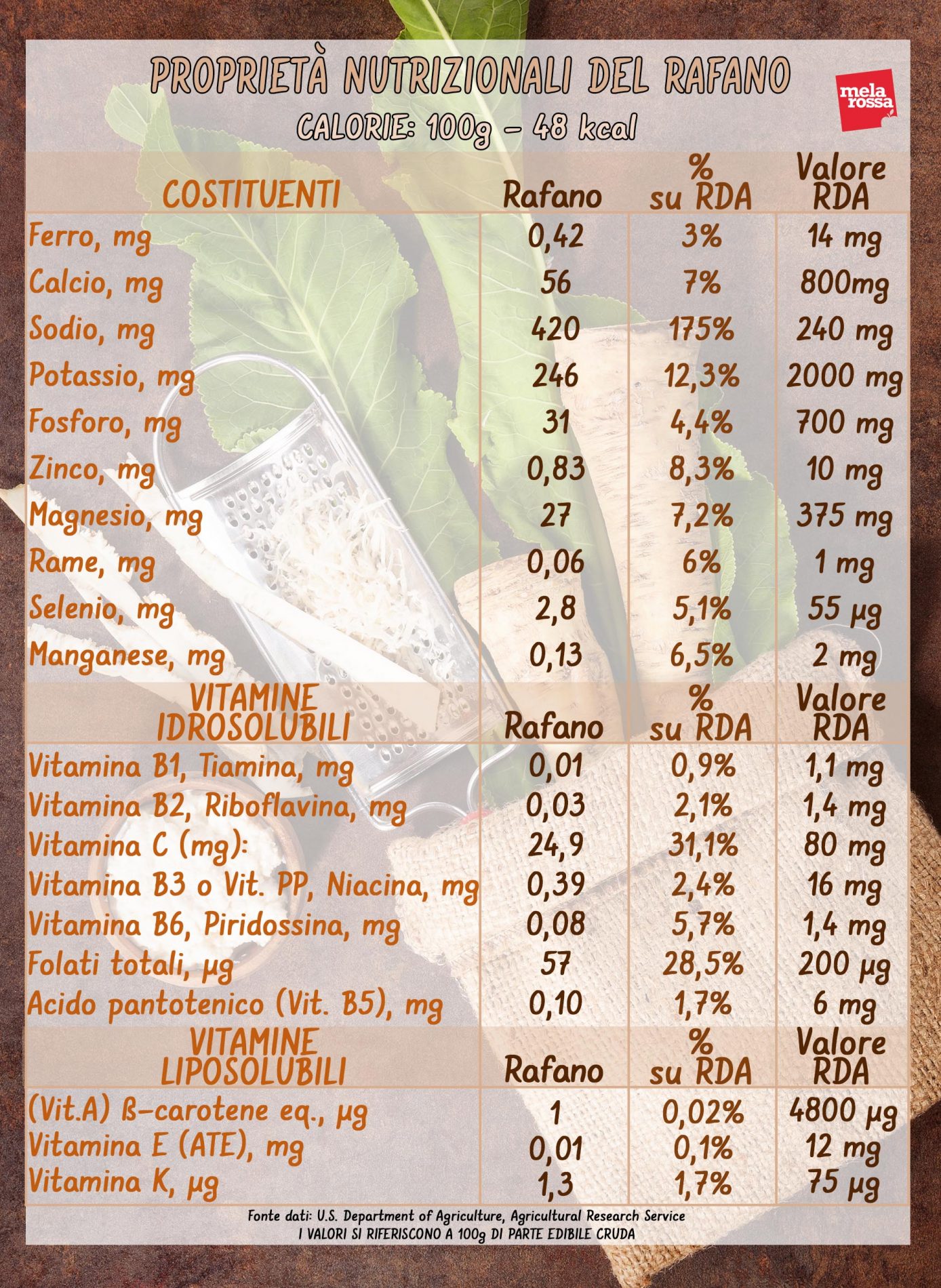 rafano: valori nutrizionali 