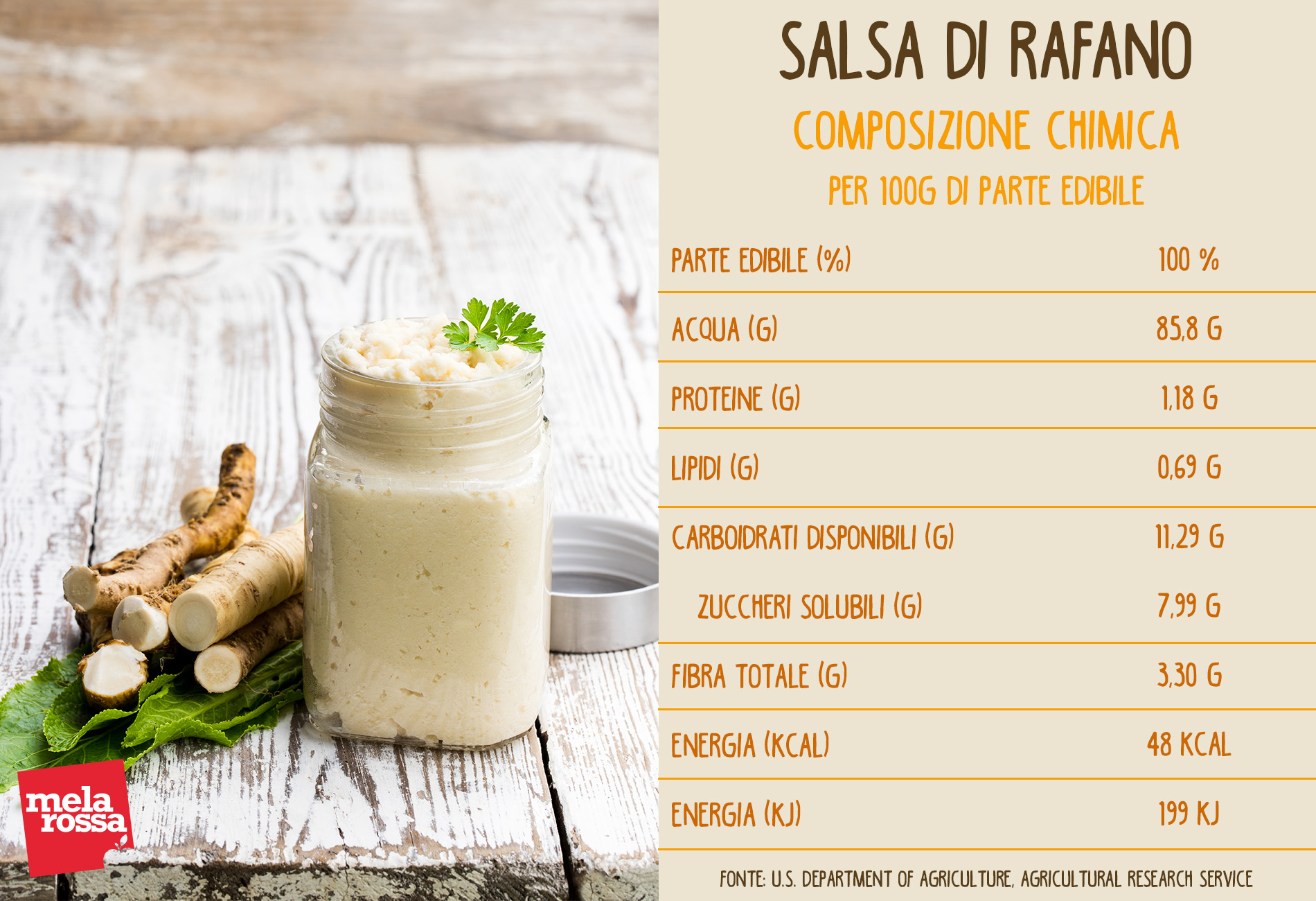 salsa di rafano: valori nutrizionali 