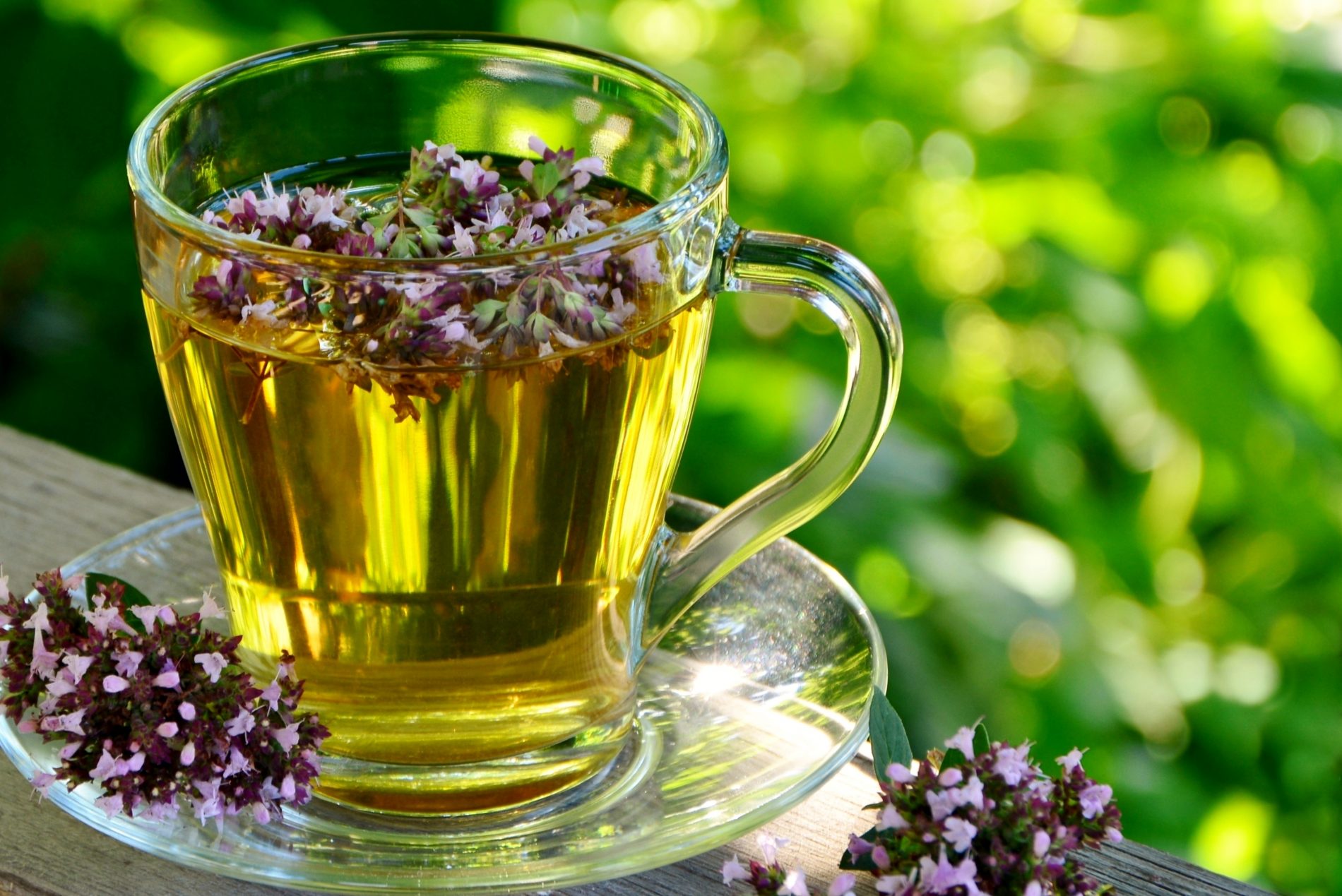 origano: tisane 