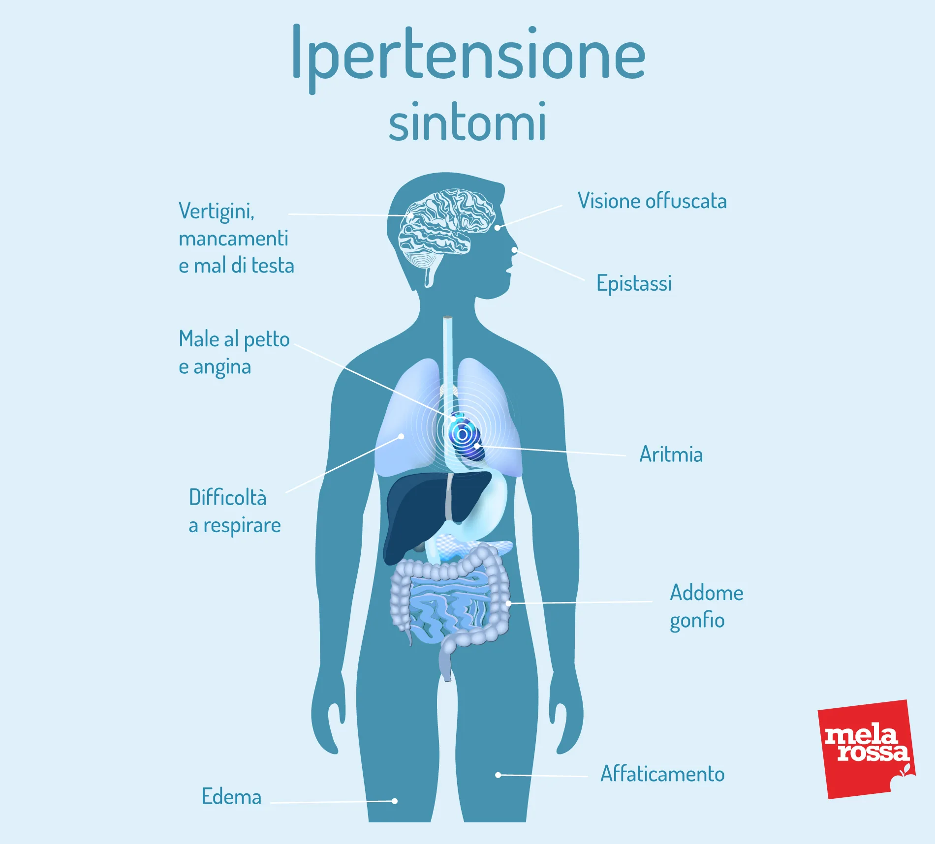 erezione e ipertensione