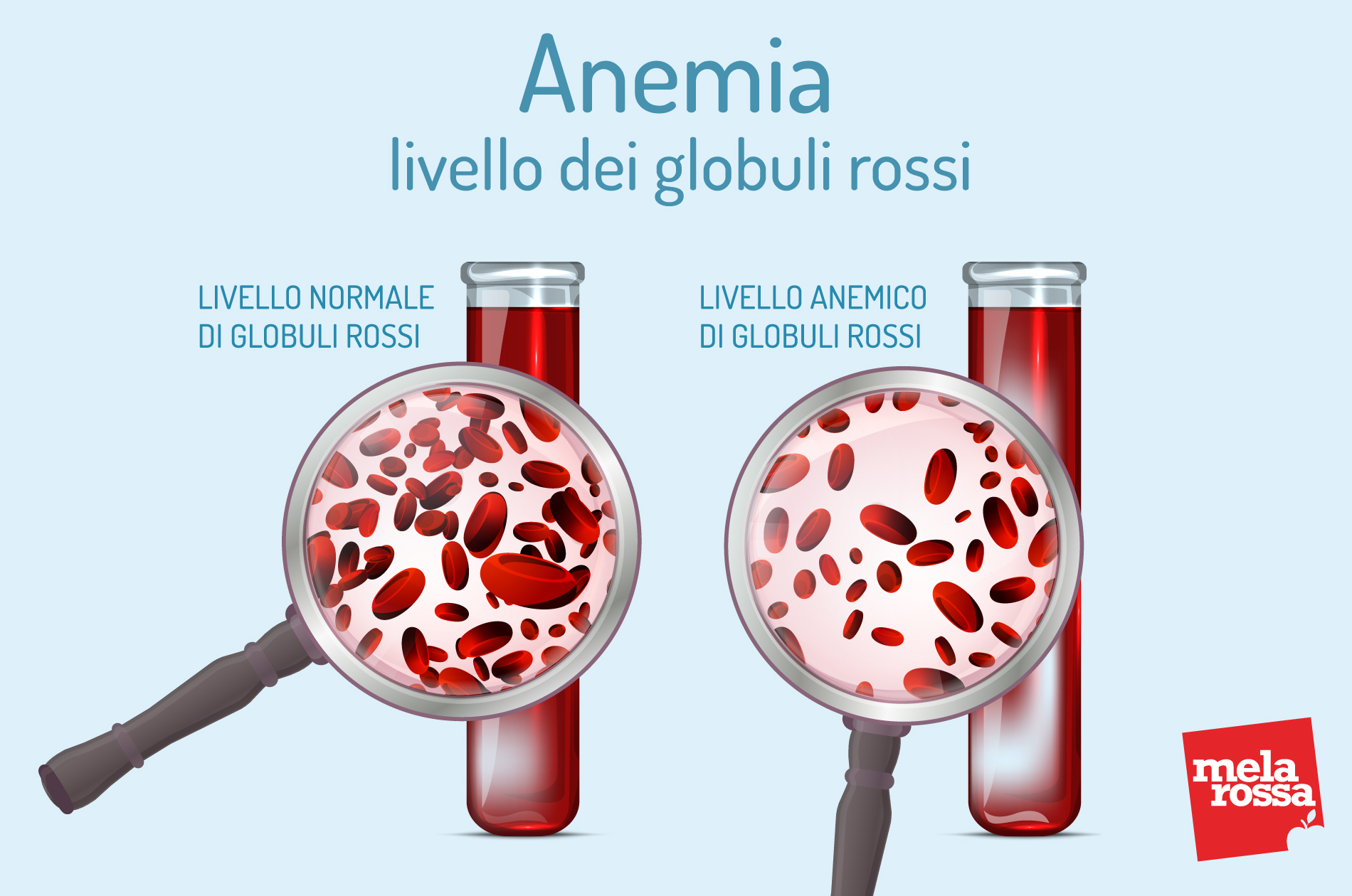 Anemia: cause