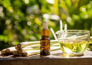 Citronella: cos'è, proprietà terapeutiche, coltivazione della pianta anti zanzare e ricette