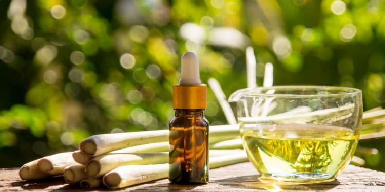 Citronella: cos'è, proprietà terapeutiche, coltivazione della pianta anti zanzare e ricette