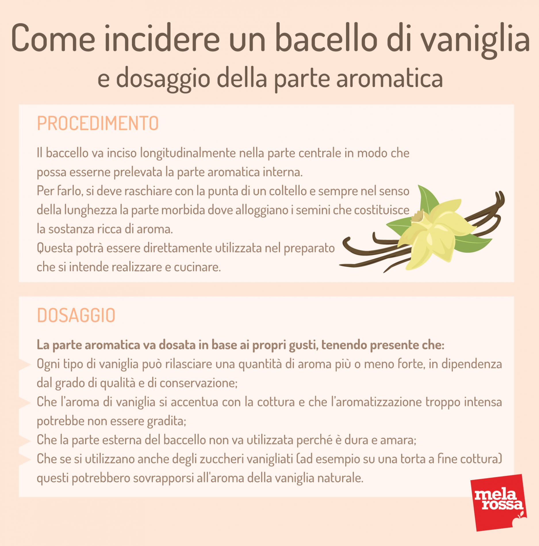 Come incidere un baccello di vaniglia