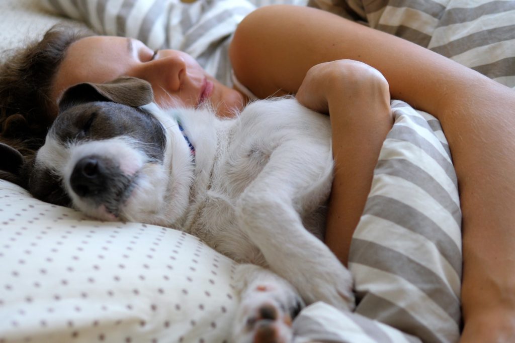 materassi dormire con cane