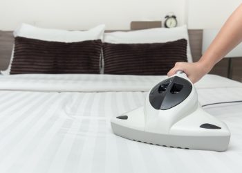 materasso acari batteri cimici
