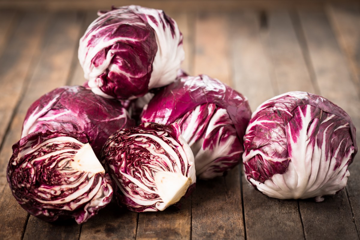 radicchio rosso