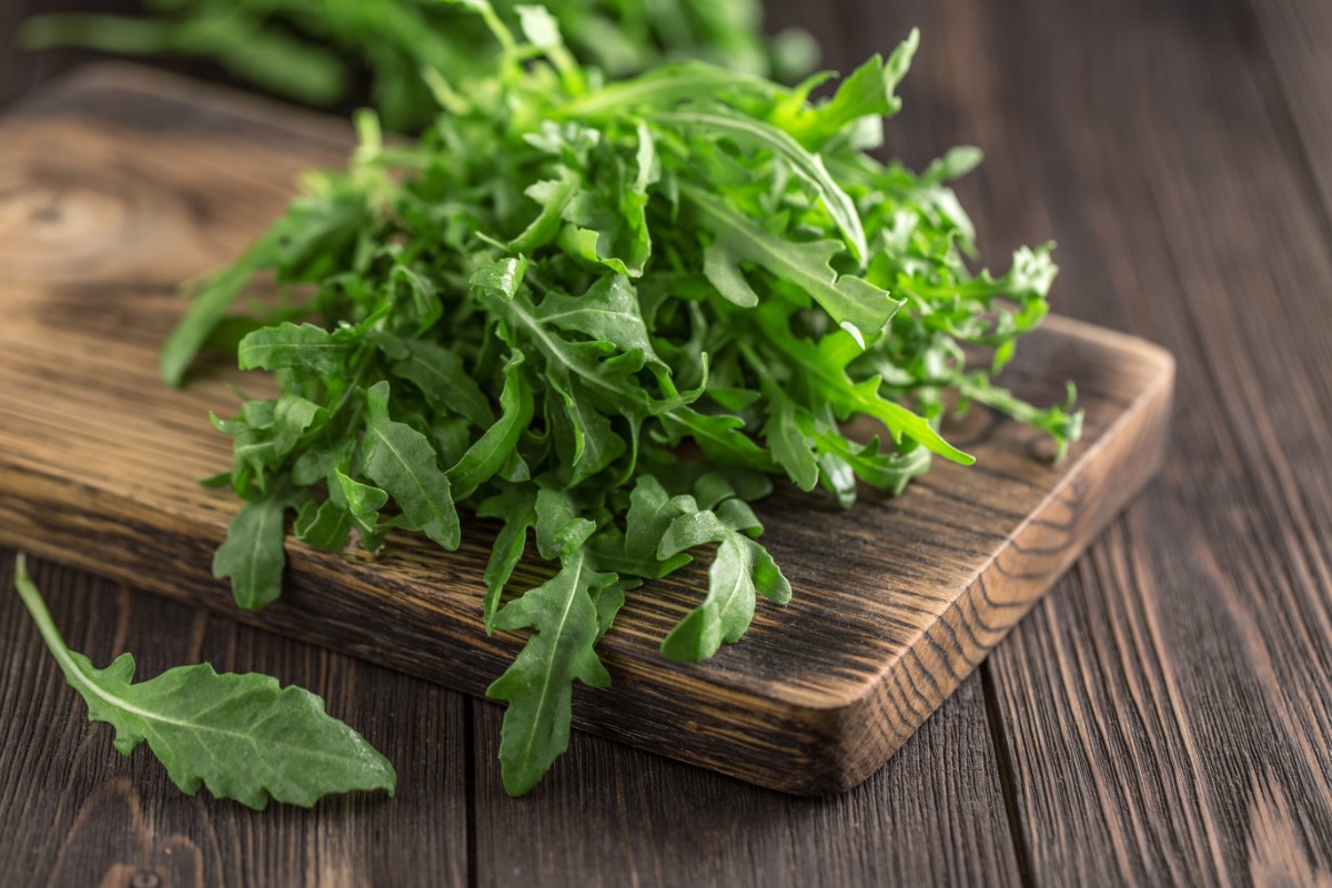 rucola