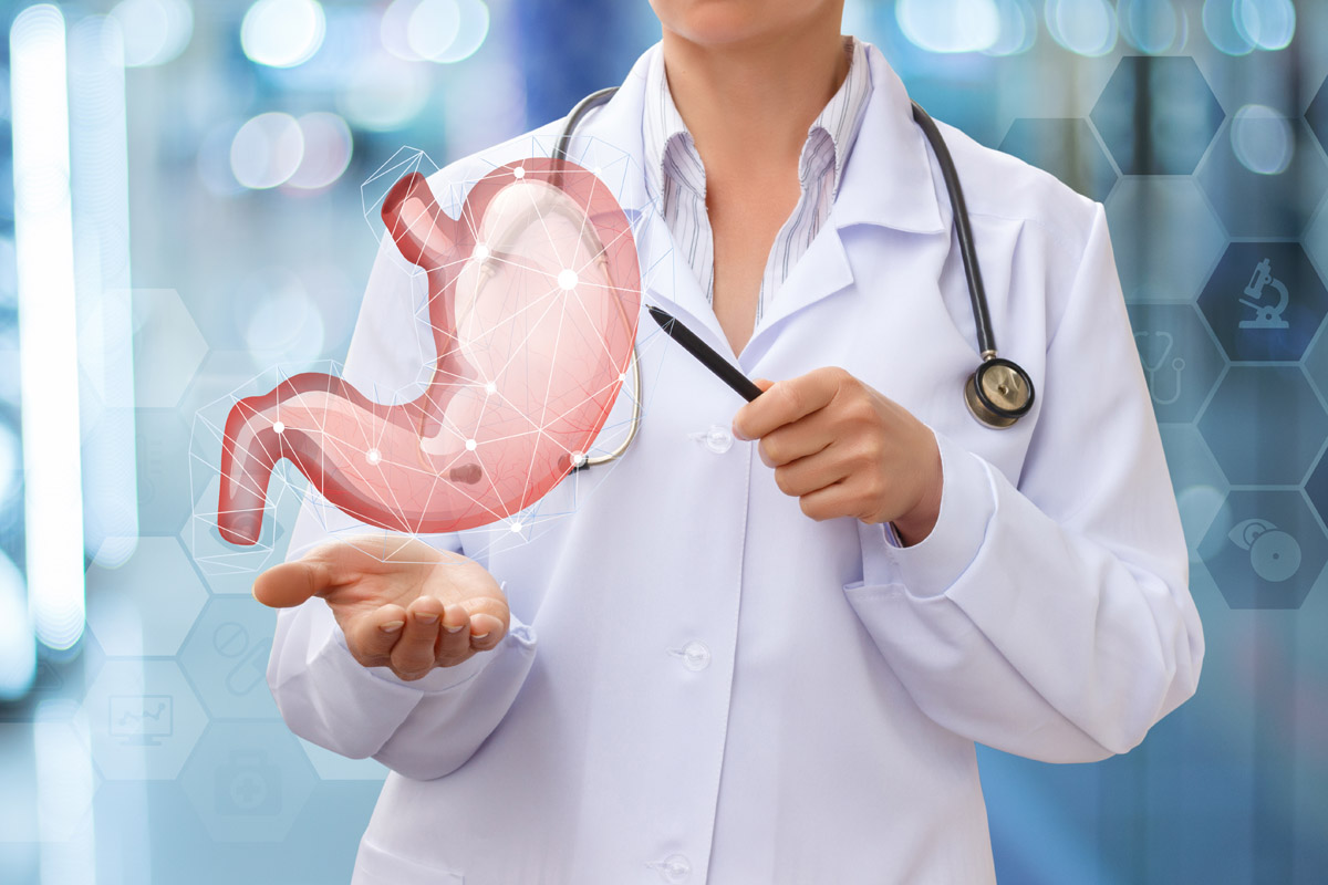 Stomaco anatomia