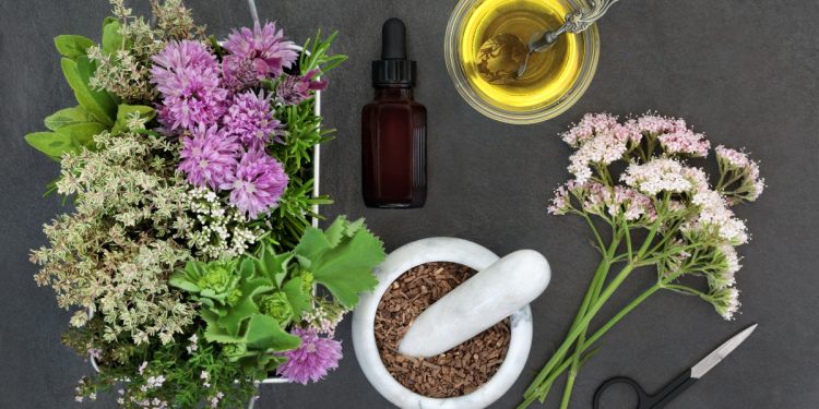 valeriana: proprietà, benefici, posologia, controindicazioni