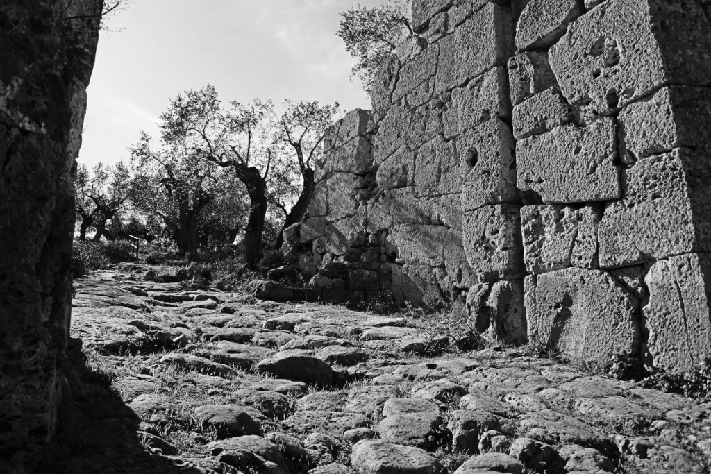 Ancedonia una strada di accesso a Cosa