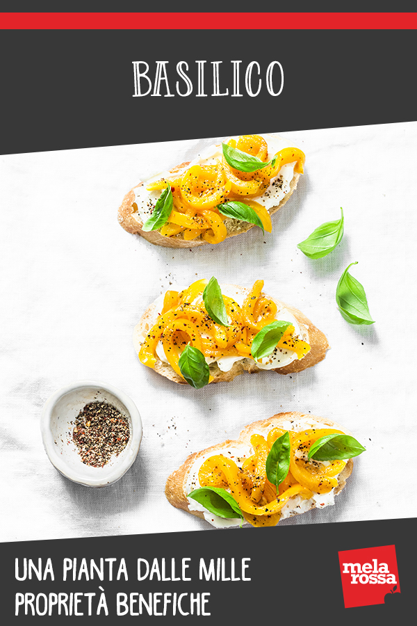basilico: valori nutrizionali e come piantarlo