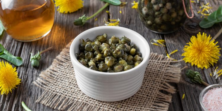 False capers made from dandelion buds in a bowl on a table