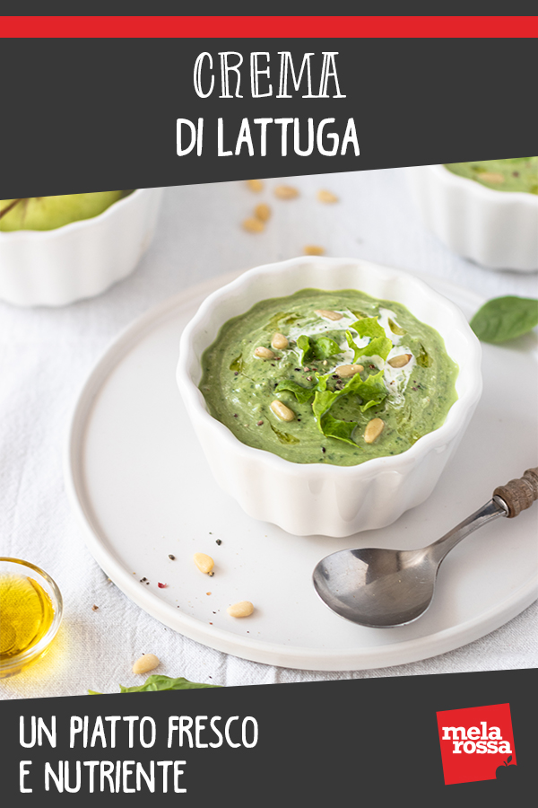crema di lattuga