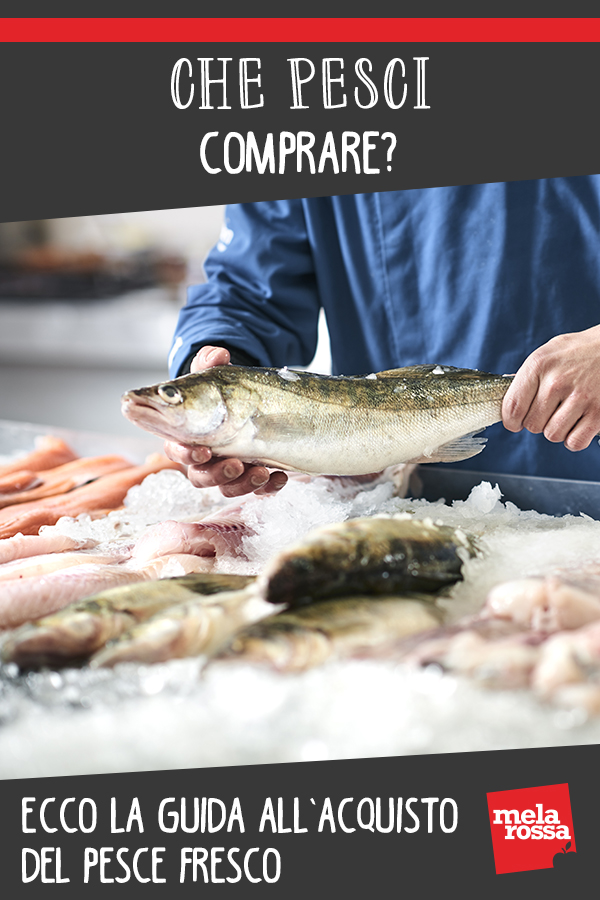 guida acquisto pesce fresco