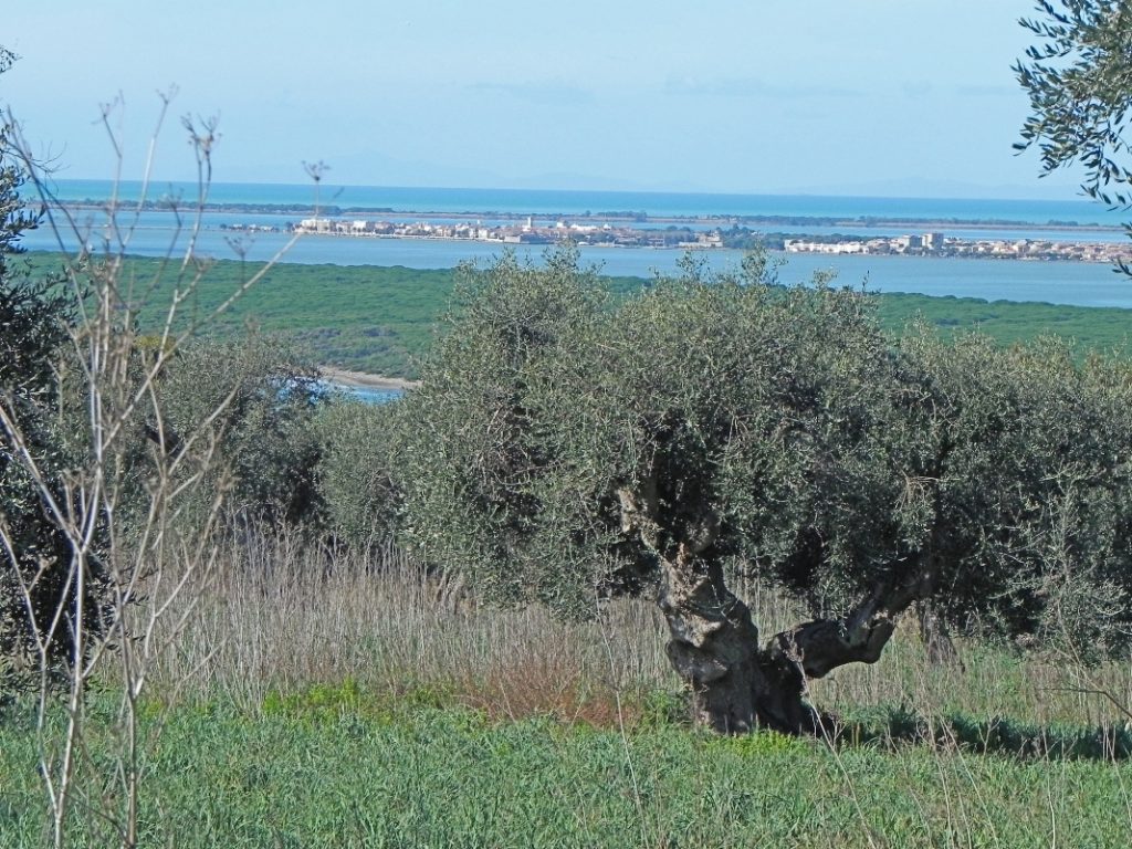laguna di Orbetello dal promontorio di Ansedonia