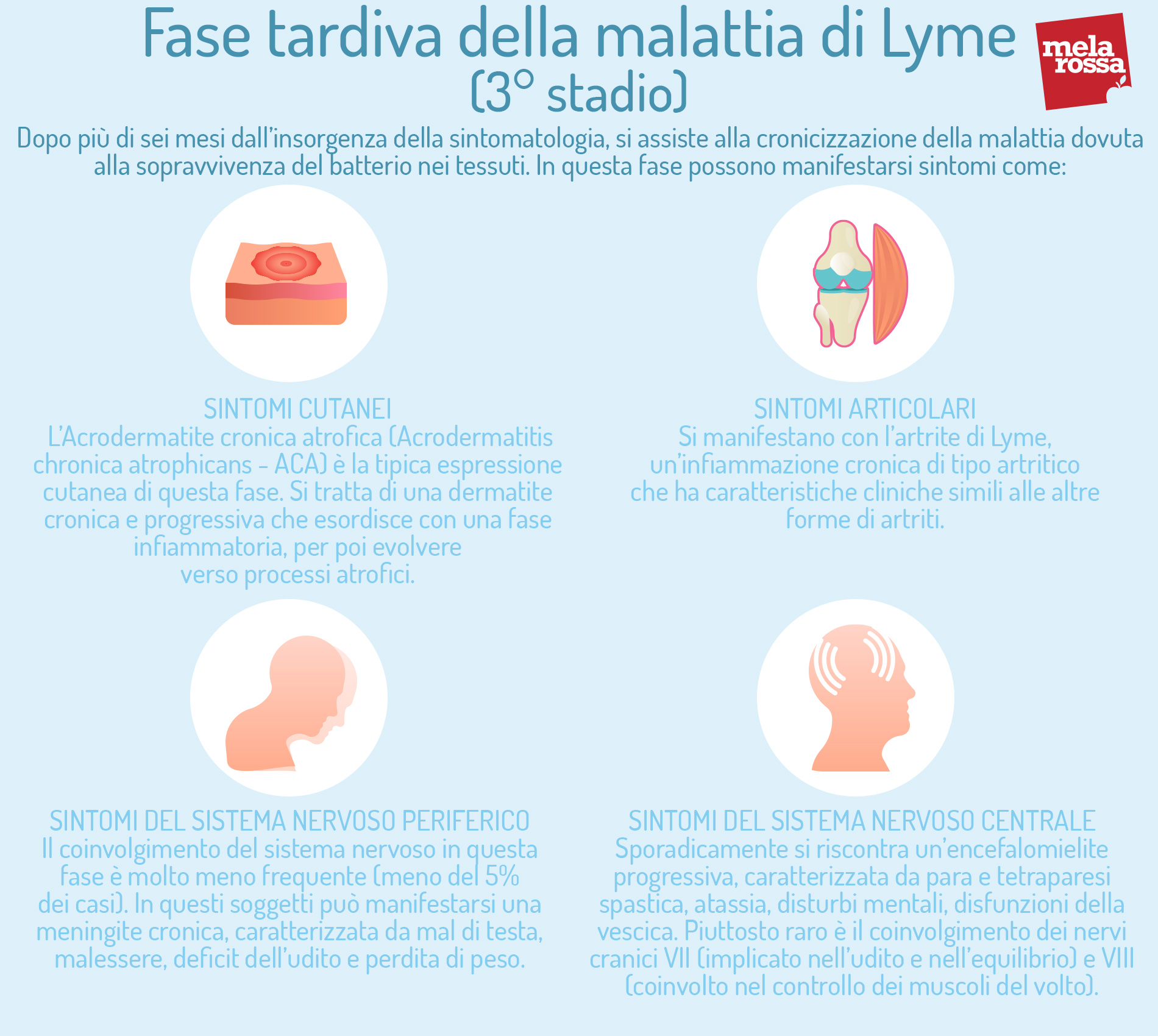 malattia di Lyme. fase tardiva 