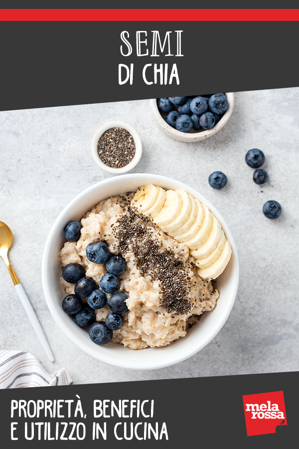 Semi di Chia: cosa sono; benefici, usi in cucina