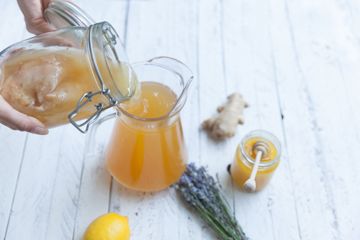 il tè kombucha : la ricetta