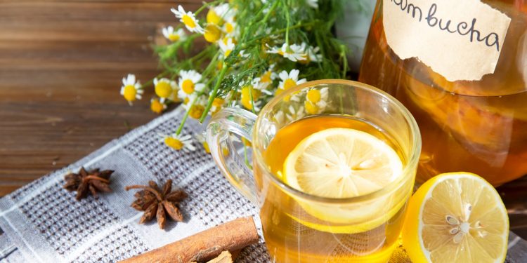 su base di legno un bicchiere di tè fermentato Kombucha, fette e spicchio di limone e bastoncini di cannella