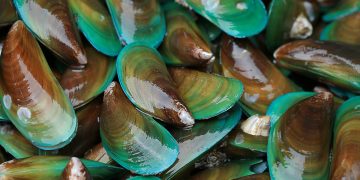 Cozze verdi tutti i benefici