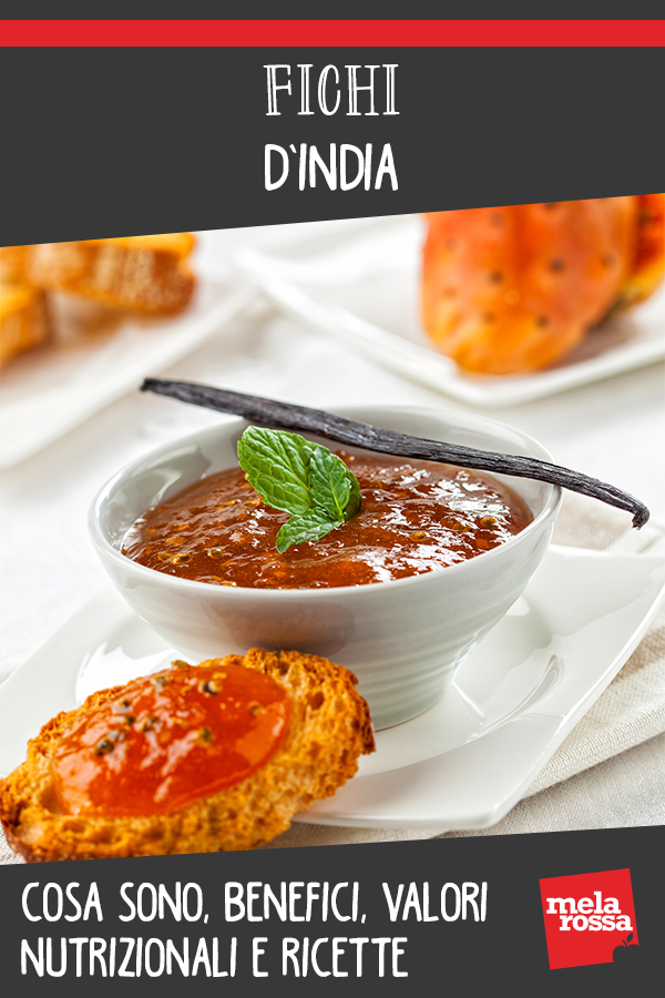fichi india