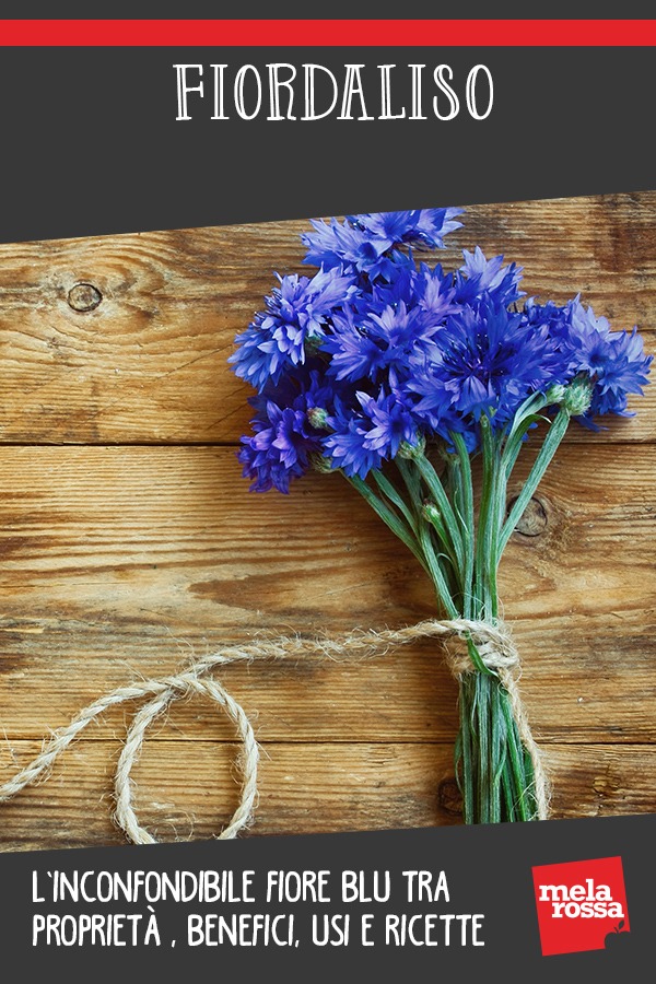 fiordaliso: benefici, ricette e la ricetta per fare l'acqua di fiordaliso in casa