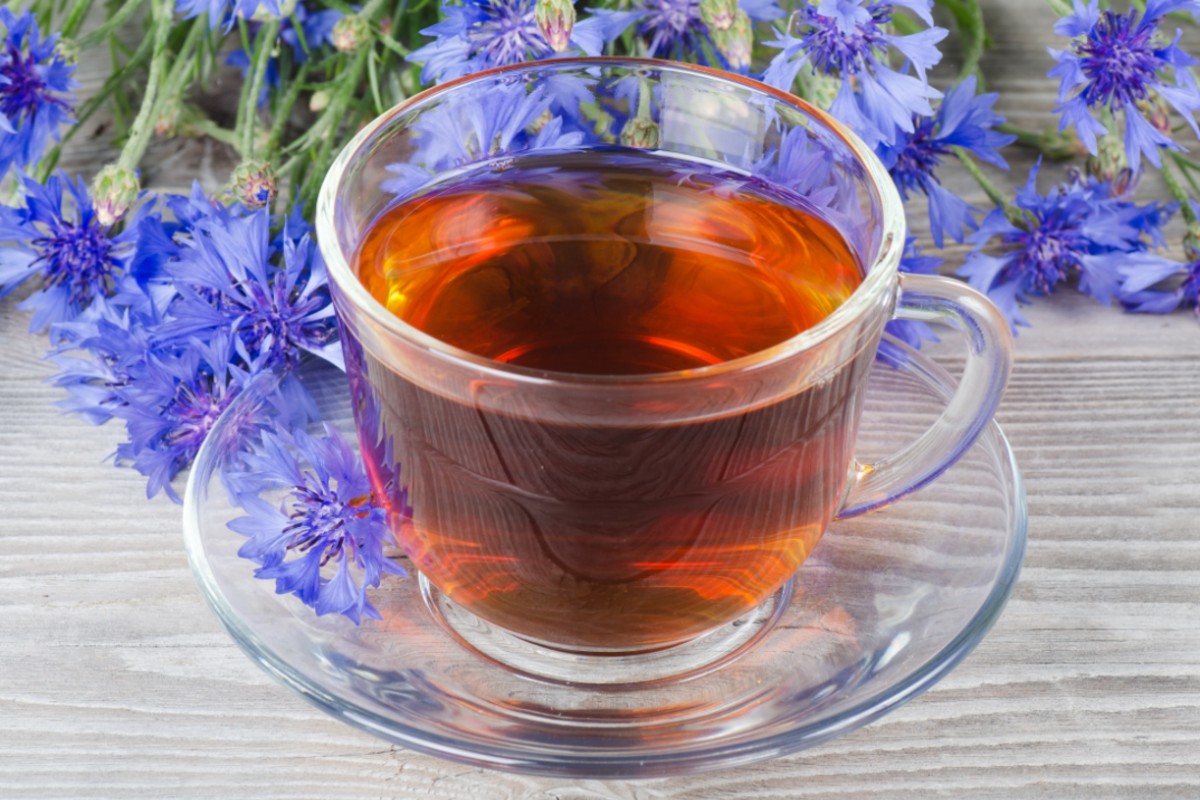 fiordaliso: tisane e impacchi