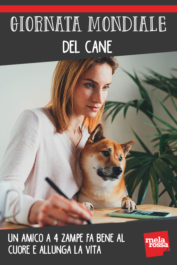 giornata mondiale cane 1
