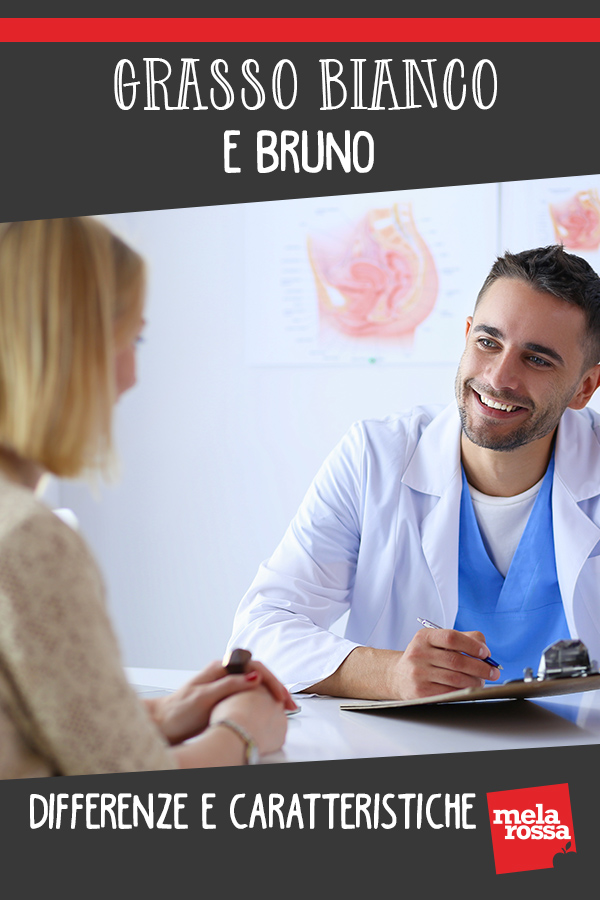 grasso bianco bruno