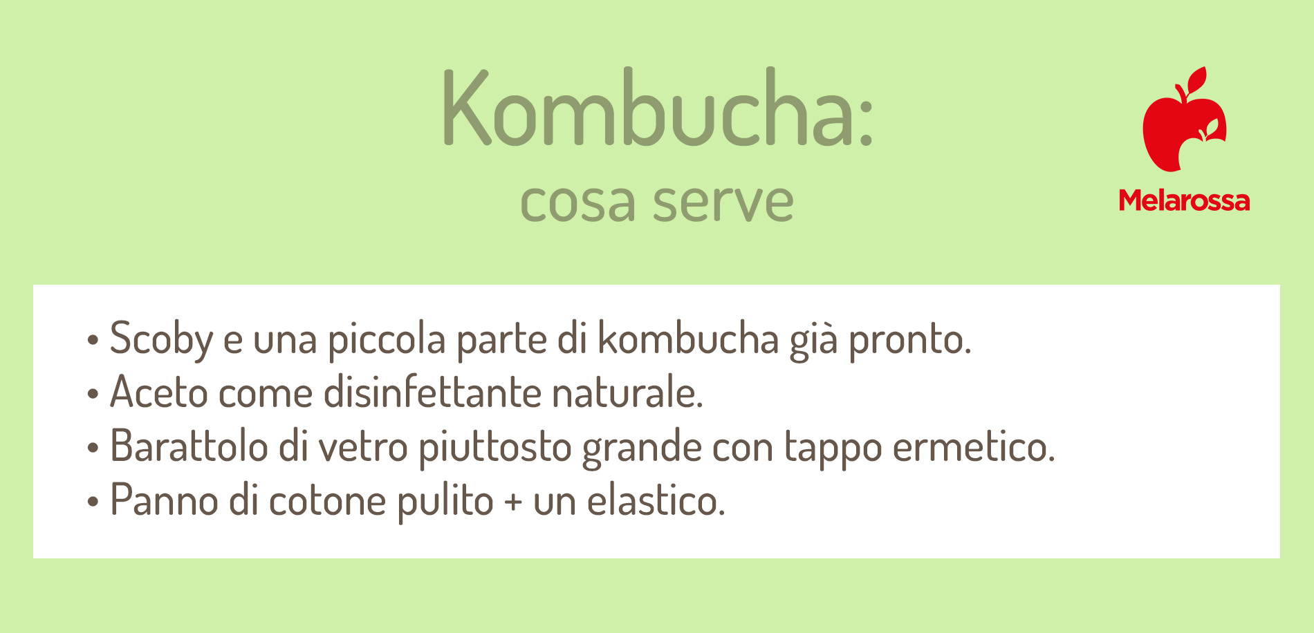 Cosa serve per fare il kombucha
