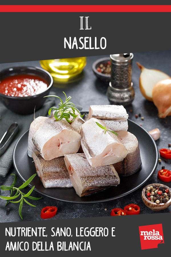 nasello