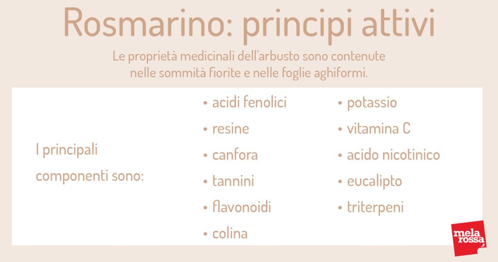 rosmarino: principi attivi