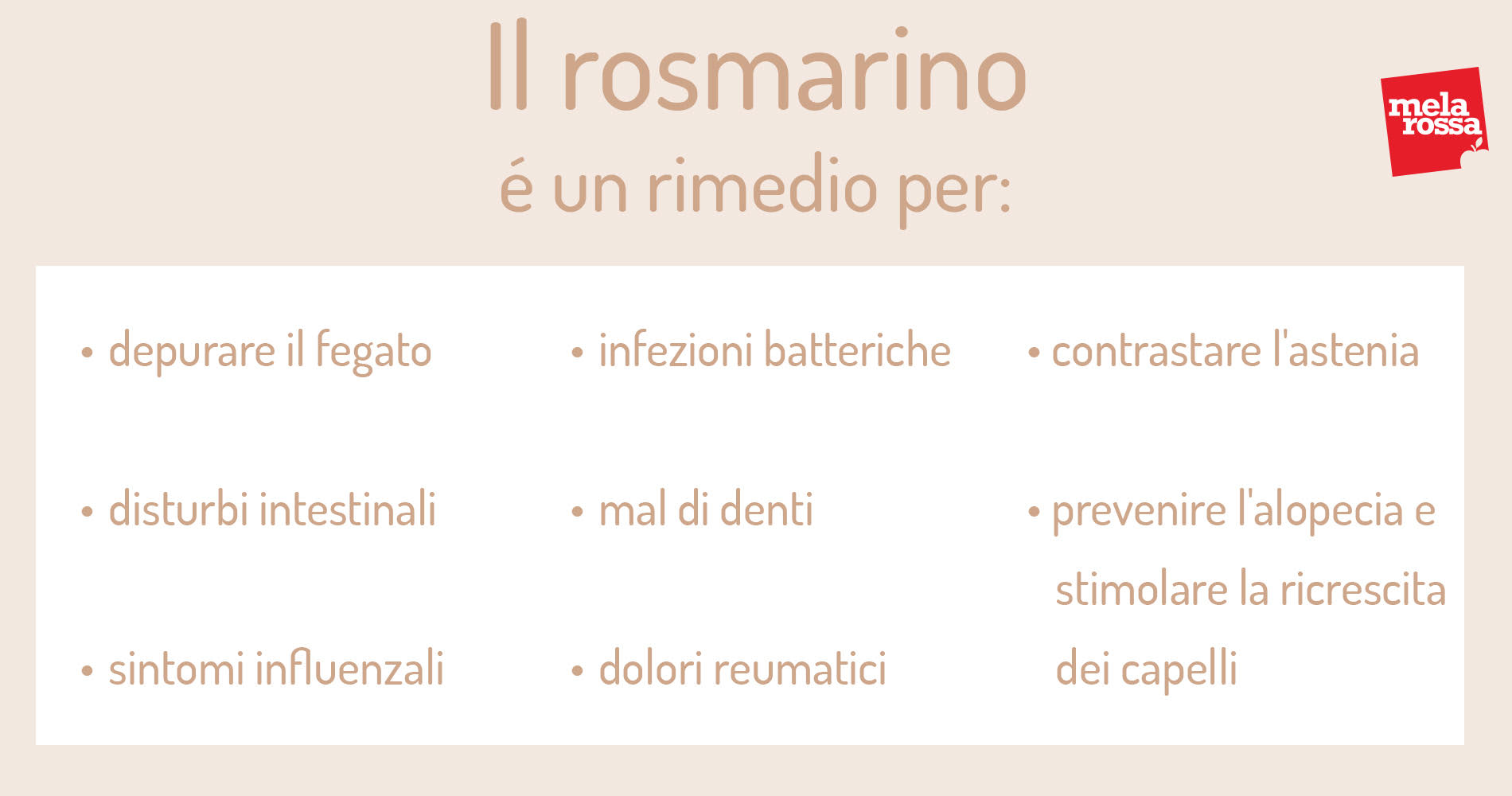 rosmarino: proprietà curative 