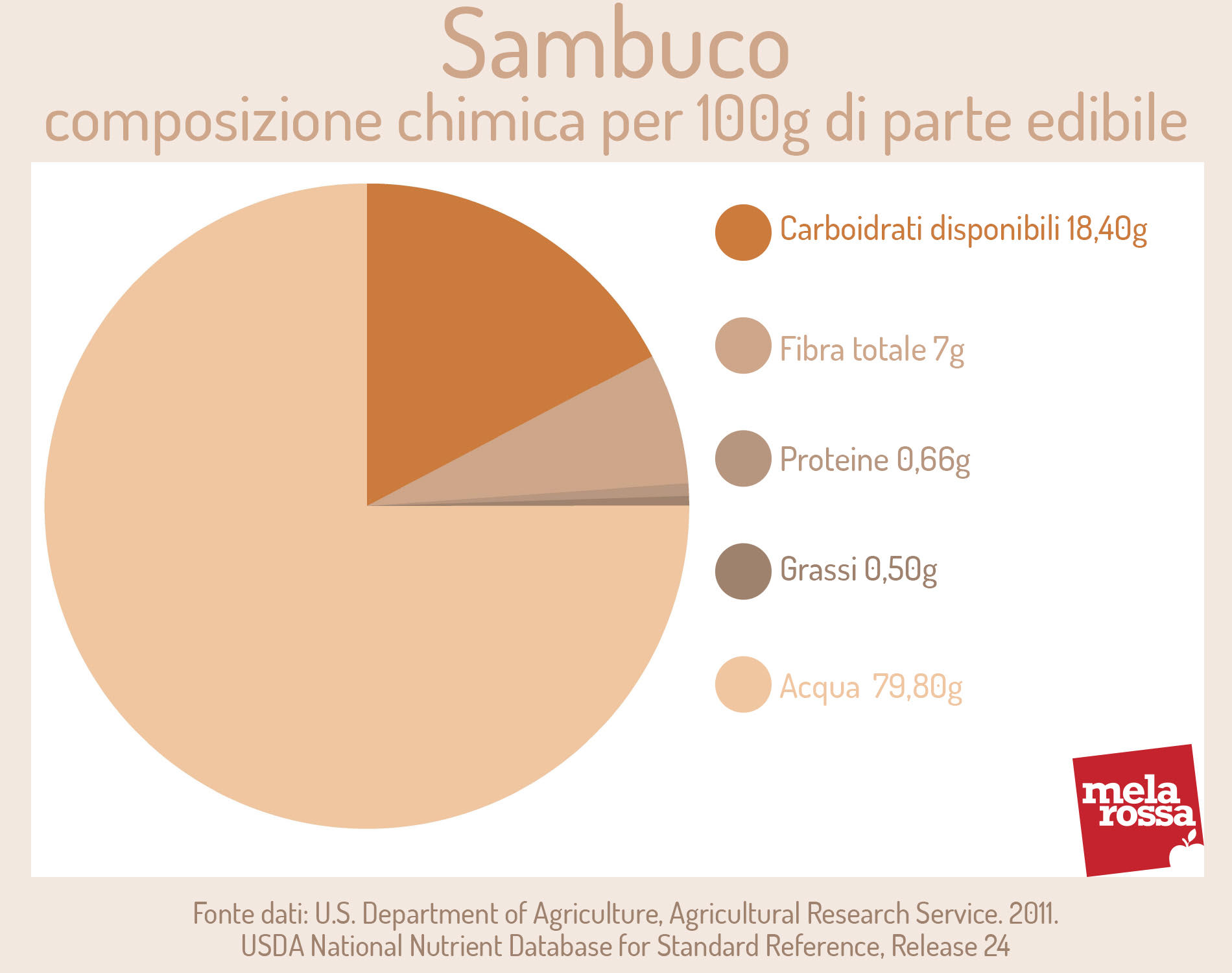 Sambuco: composizione chimica