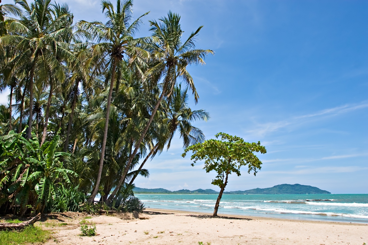 tamarindo: storia 