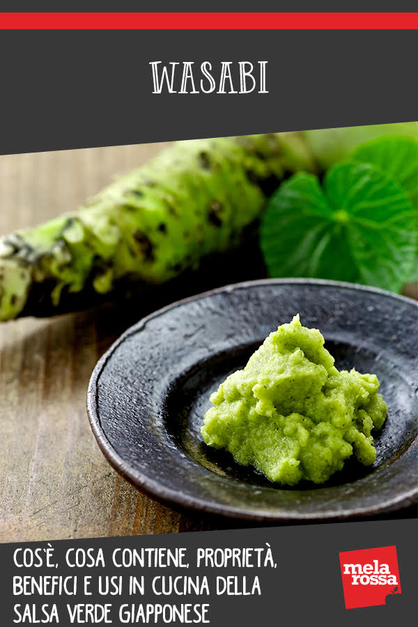 wasabi cos e proprieta usi in cucina 1