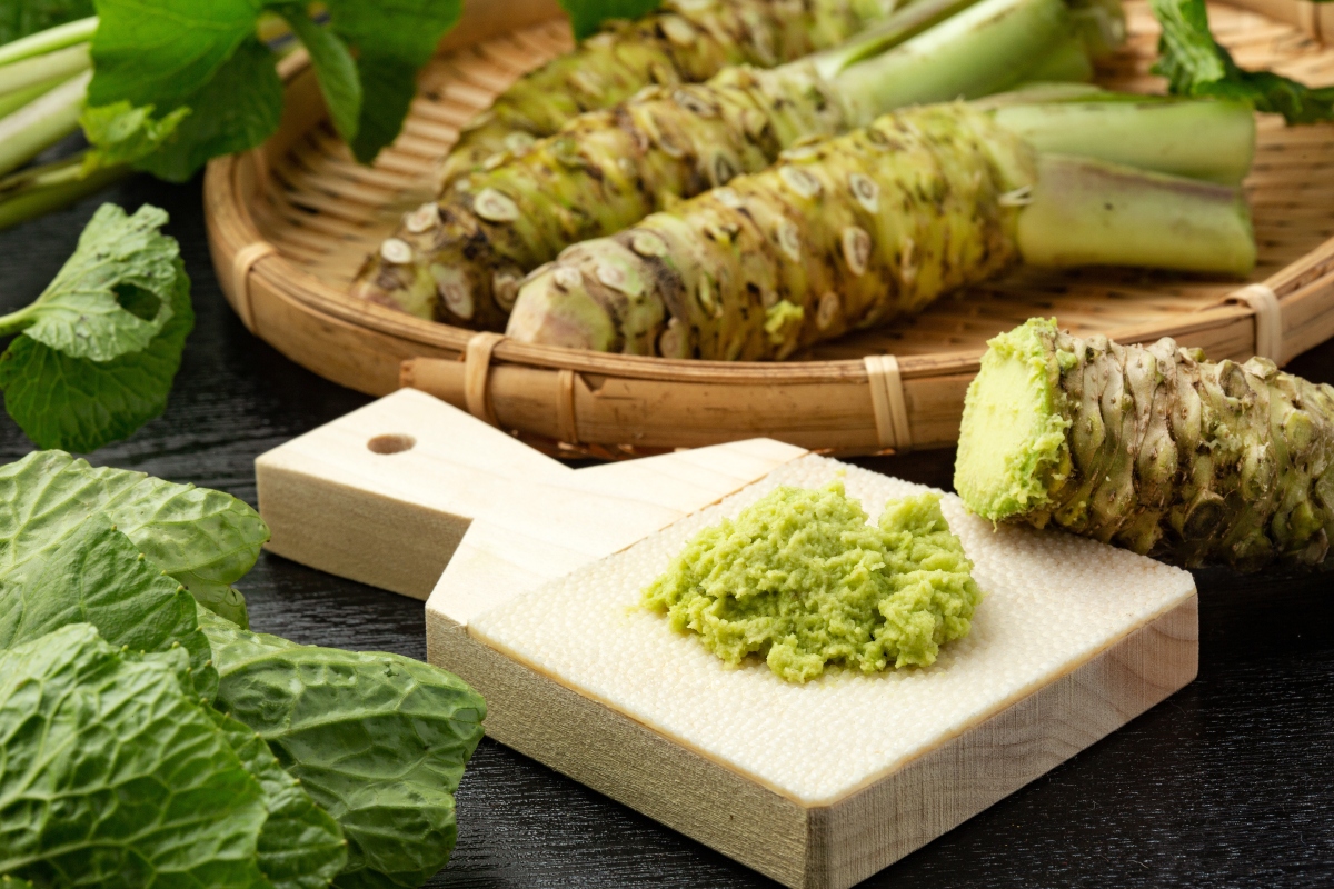 wasabi: guida all'acquisto